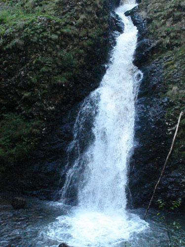 Foto Cascada Runcu Custuri (c) Petru Goja